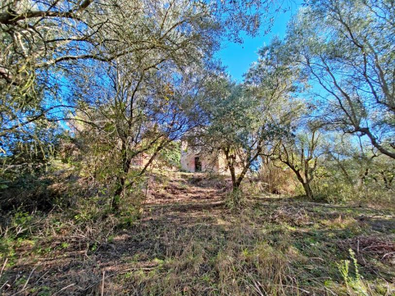 Land with large ruin for construction near San Miniato, Pisa-16