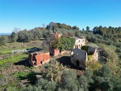 Land with large ruin for construction near San Miniato, Pisa