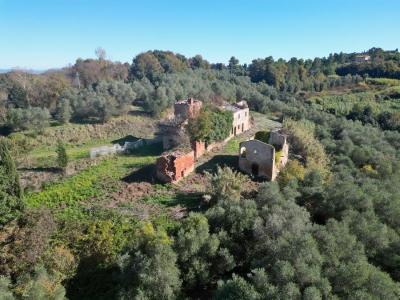 Land with large ruin for construction near San Miniato, Pisa