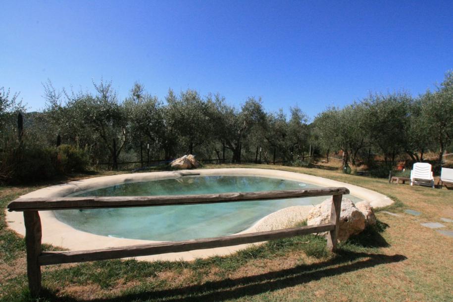 Villa in pietra con piscina vicino Camaiore, Versilia, Toscana-8