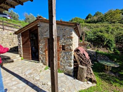Two restored stone houses between Lucca and Camaiore