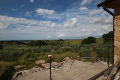 Unfinished farmhouse with olive grove