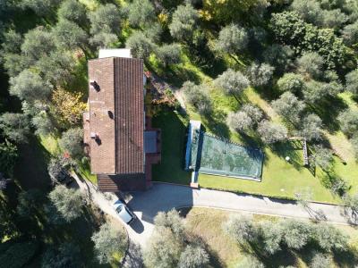 Special property in Bargechia for Sale