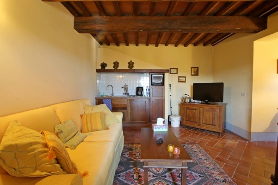 Flat in historic residence between Pisa and Florence-2