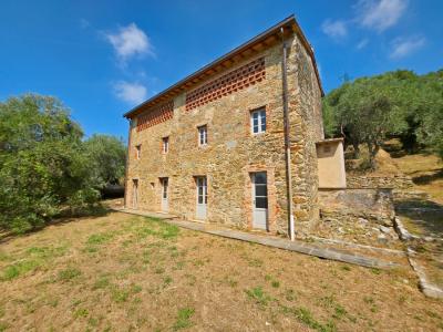 2 houses with seaview Camaiore