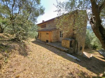 2 houses with seaview Camaiore