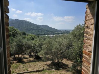 2 houses with seaview Camaiore