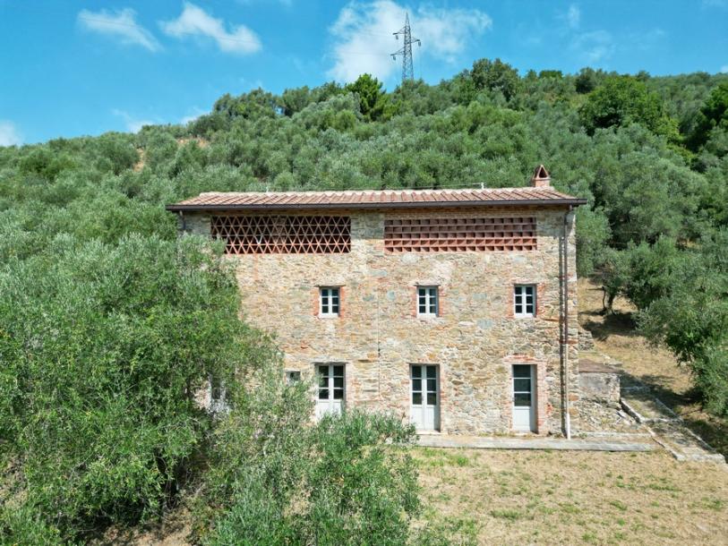 2 houses with seaview Camaiore-11