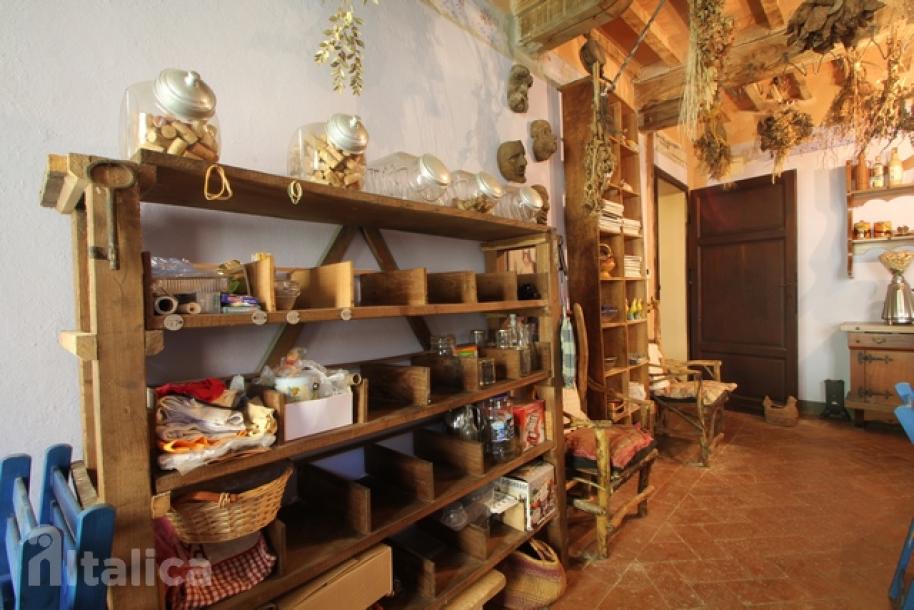 Part of a house in area of Mulina - Stazzema-16