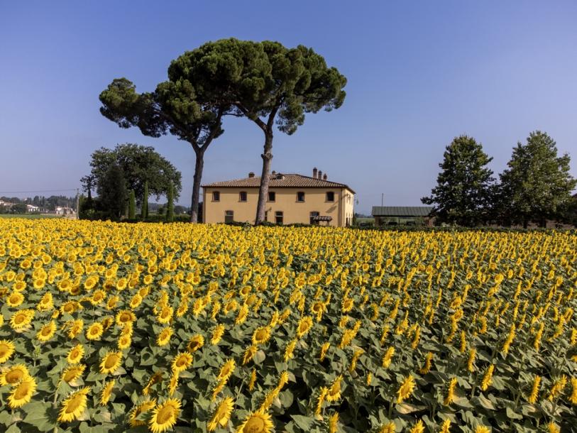 Luxury large property with view to Monte San Savino-2