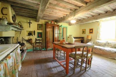 Rustic villa near Camaiore