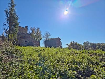 Land with large ruin for construction near San Miniato, Pisa