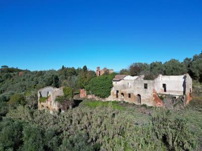 Land with large ruin for construction near San Miniato, Pisa