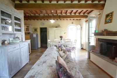 Restored stone house with Pool near Camaiore