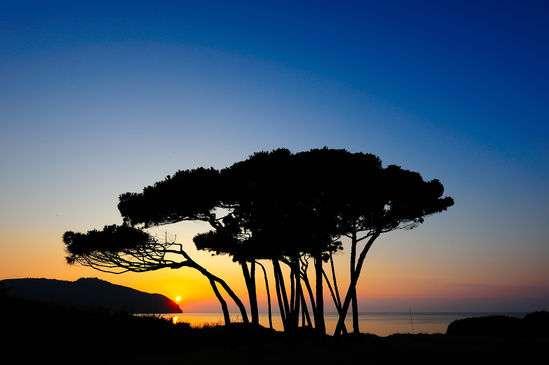 Le coste della Toscana