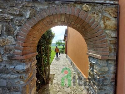 Farm in Tuscany