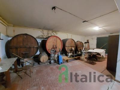 Farm in Tuscany