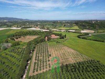 Farm in Tuscany
