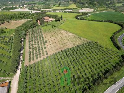 Farm in Tuscany