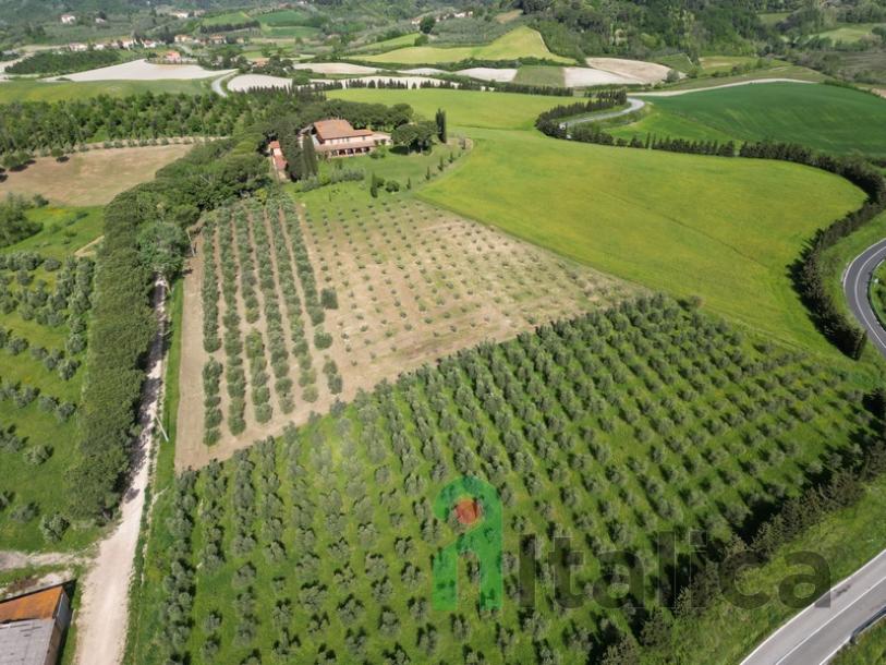 Farm in Tuscany-5