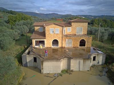 Unfinished farmhouse with olive grove