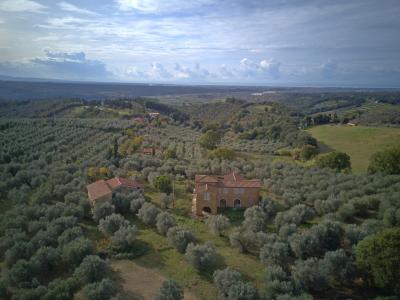 Unfinished farmhouse with olive grove