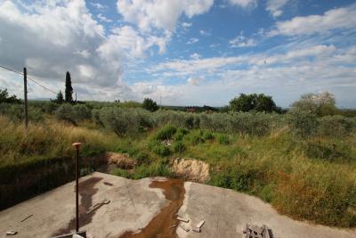 Unfinished farmhouse with olive grove