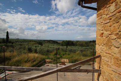 Unfinished farmhouse with olive grove