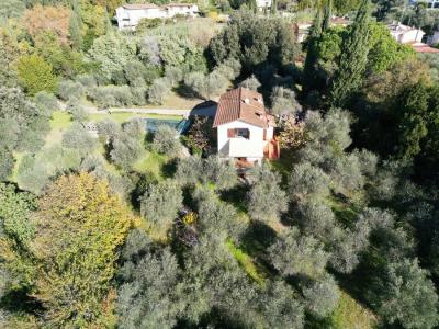 Special property in Bargechia for Sale