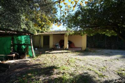 Special property in Bargechia for Sale