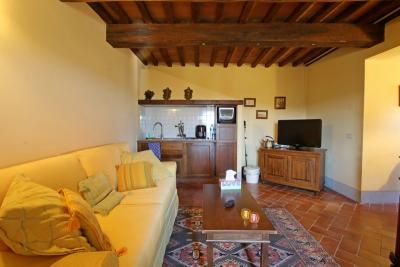 Flat in historic residence between Pisa and Florence