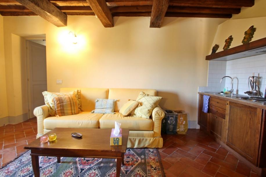 Flat in historic residence between Pisa and Florence-5