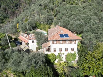 Large country house in Versilia for Sale