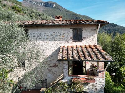 Large country house in Versilia for Sale