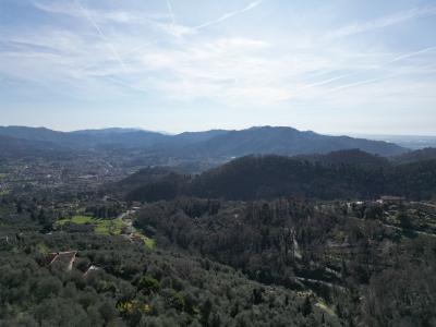 Large country house in Versilia for Sale