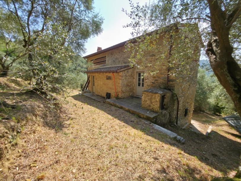 2 houses with seaview Camaiore-3