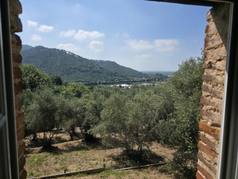 2 houses with seaview Camaiore-16