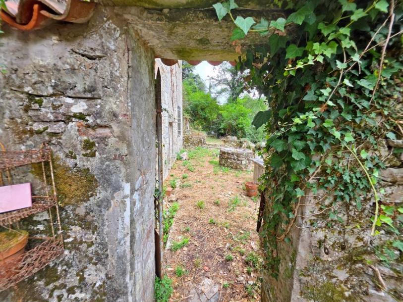 Rural house for Sale-6