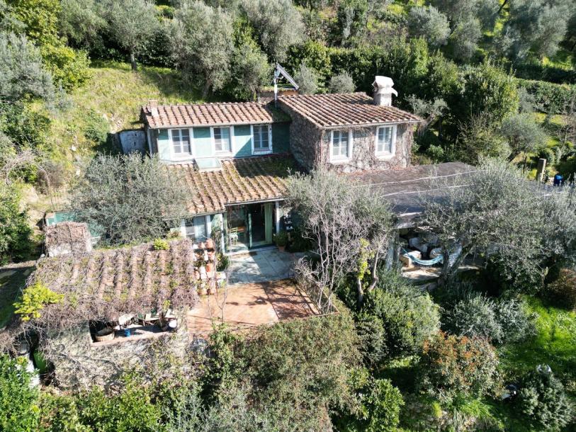 Villa with Pool and seaview in Monteggiori for Sale-8