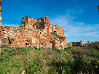 Authentic Tuscany project near Siena