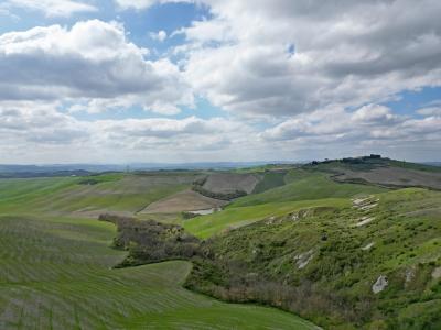 Farm in Tuscany for Sale