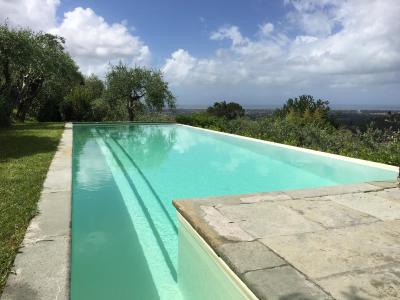 Villa with Pool and seaview in Monteggiori for Sale