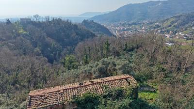 Carrara – detached panoramic house