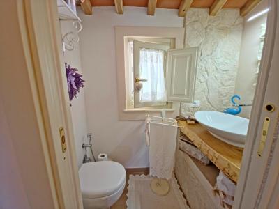 House and guest house near Camaiore for Sale