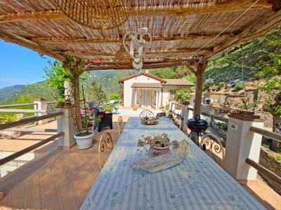 House and guest house near Camaiore for Sale