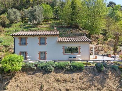 House and guest house near Camaiore for Sale