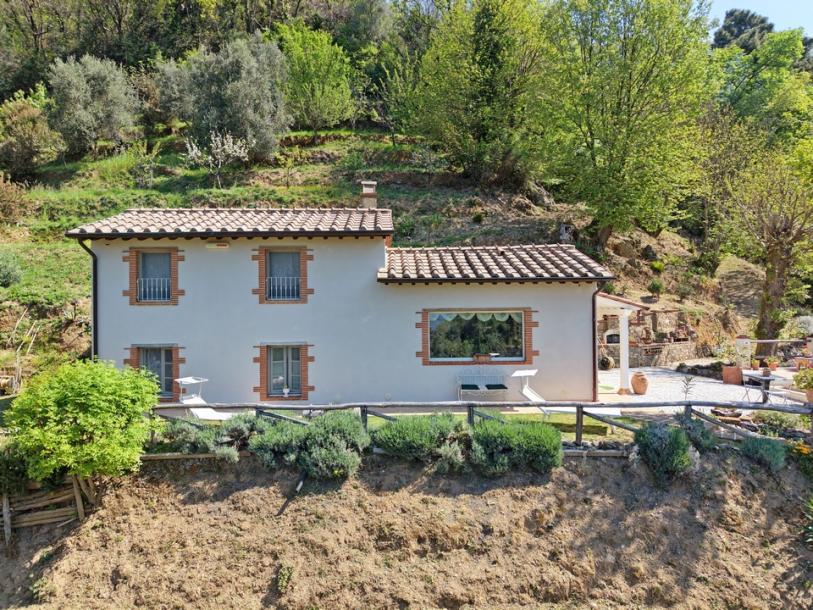 House and guest house near Camaiore for Sale-2