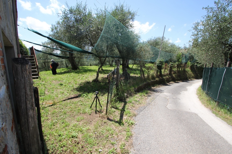 Rustico near Camaiore for Sale