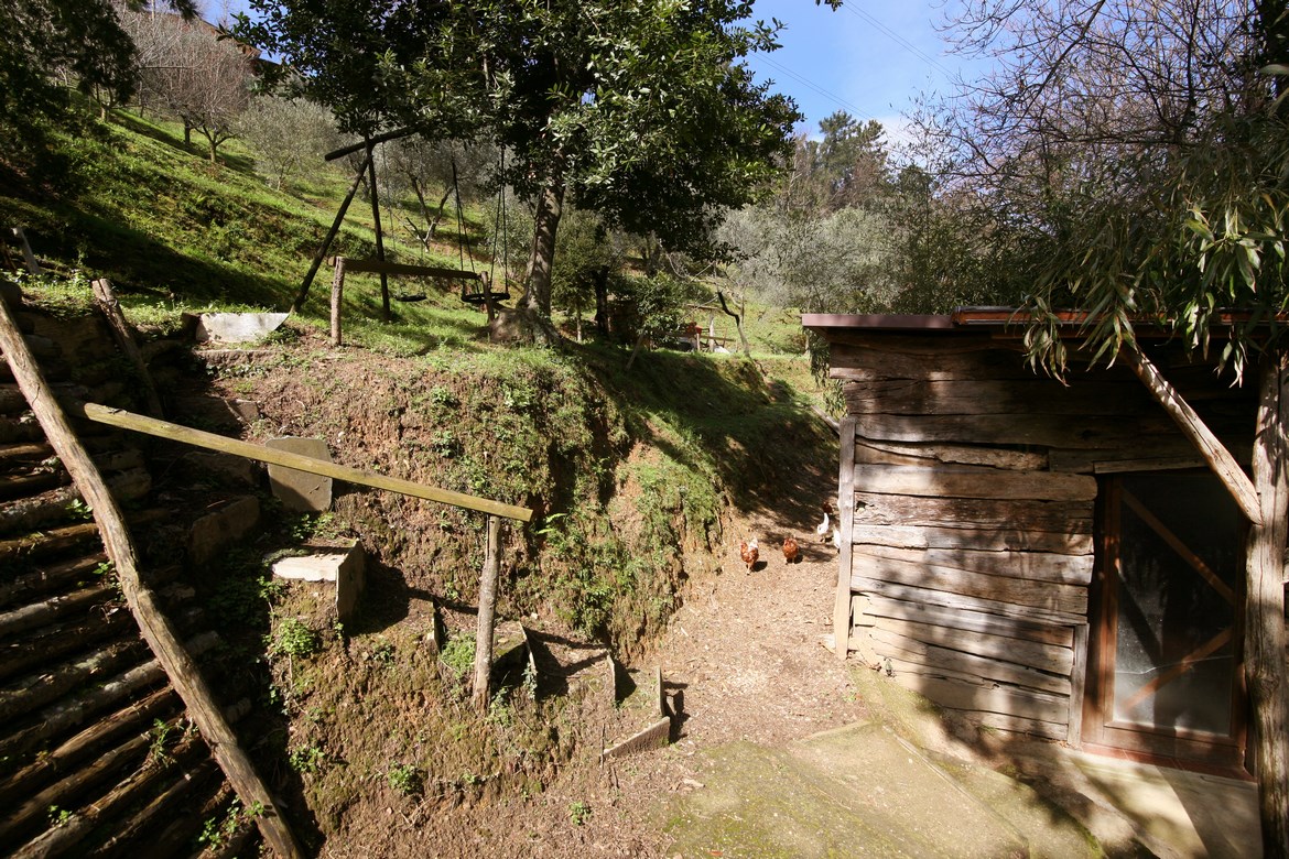 Renoviertes Steinhaus umgeben vom Wald bei Vallecchia