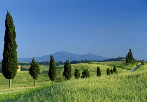 Toscana-Pisa